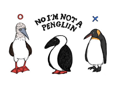 I’m not a penguin !